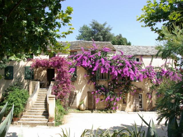 Front view of the hotel