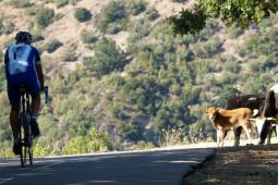 Tour de Haute-Corse 8 dagen Bastia