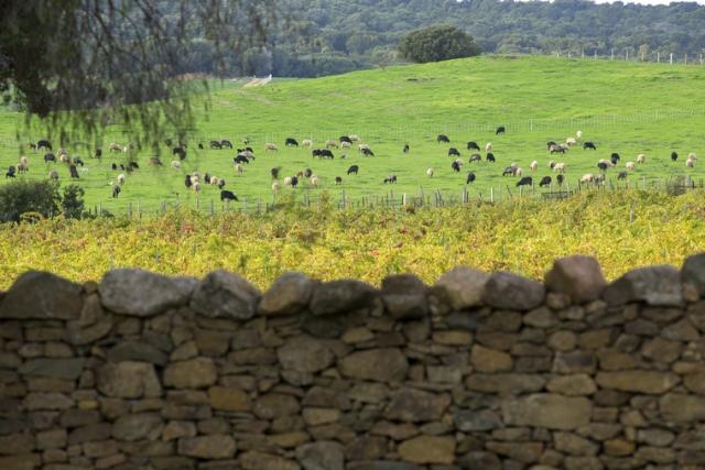 Domaine De Murtoli Les Bergeries